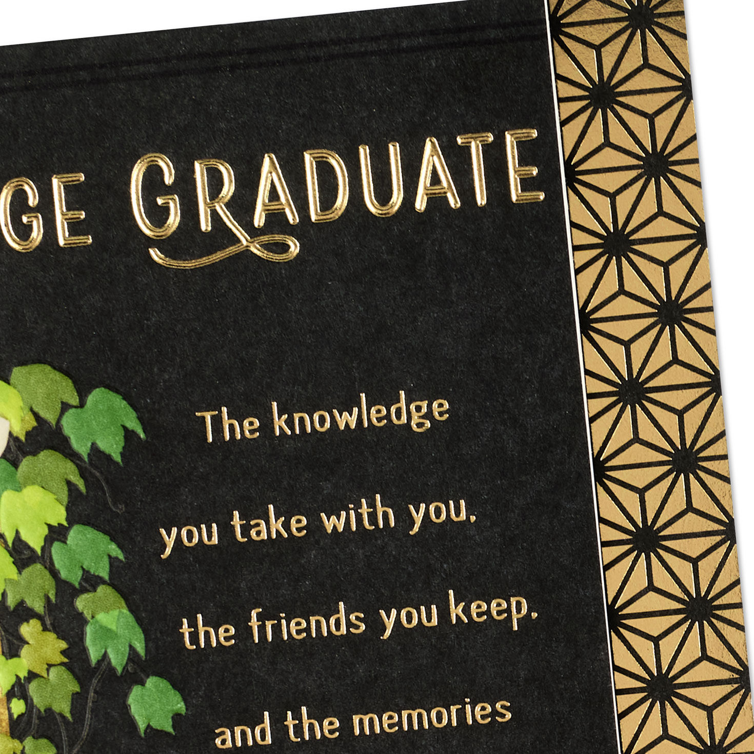 Ivy and Diploma on Column College Graduation Card Card Front Detail image number 4