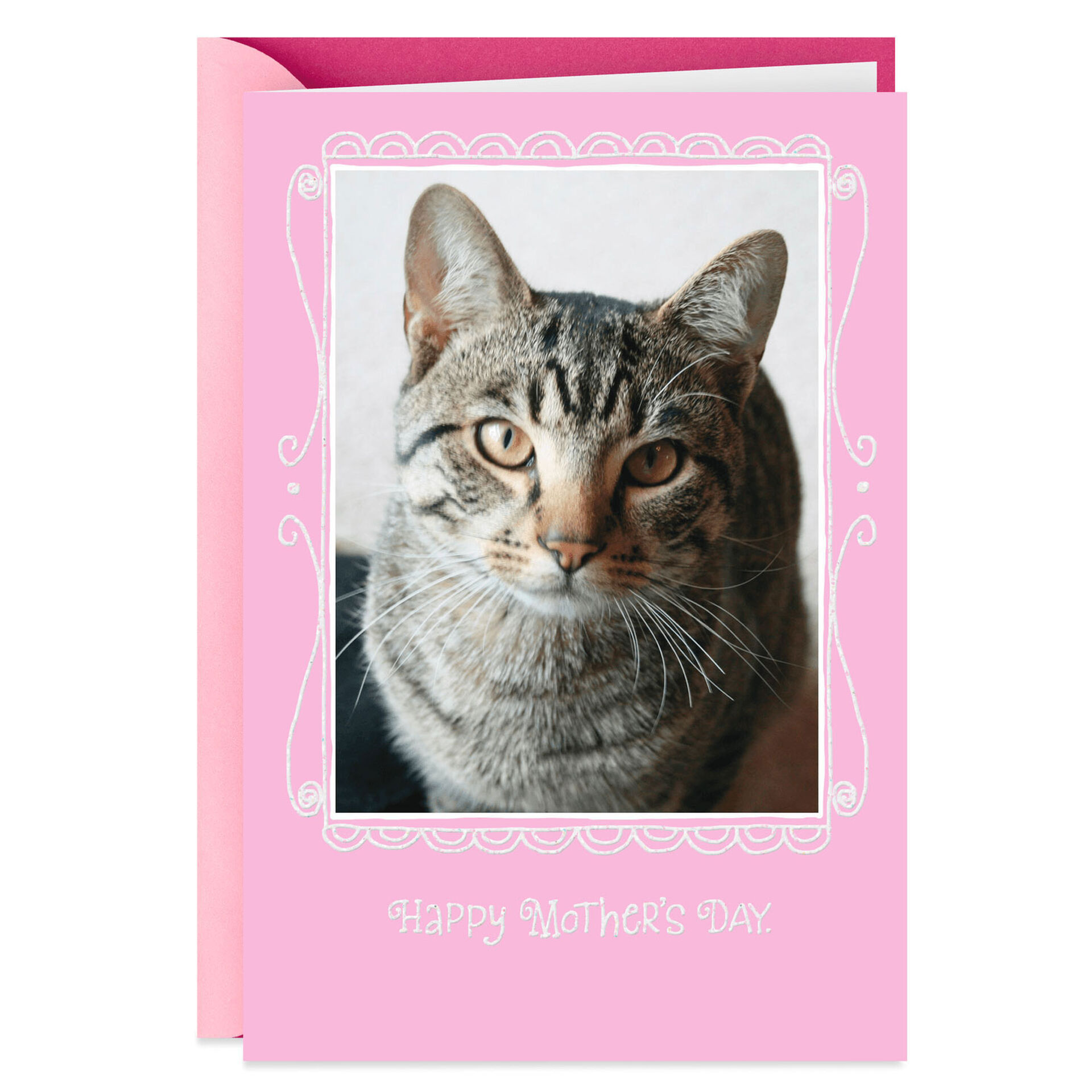 Cat Joke Mother S Day Card Greeting Cards Hallmark