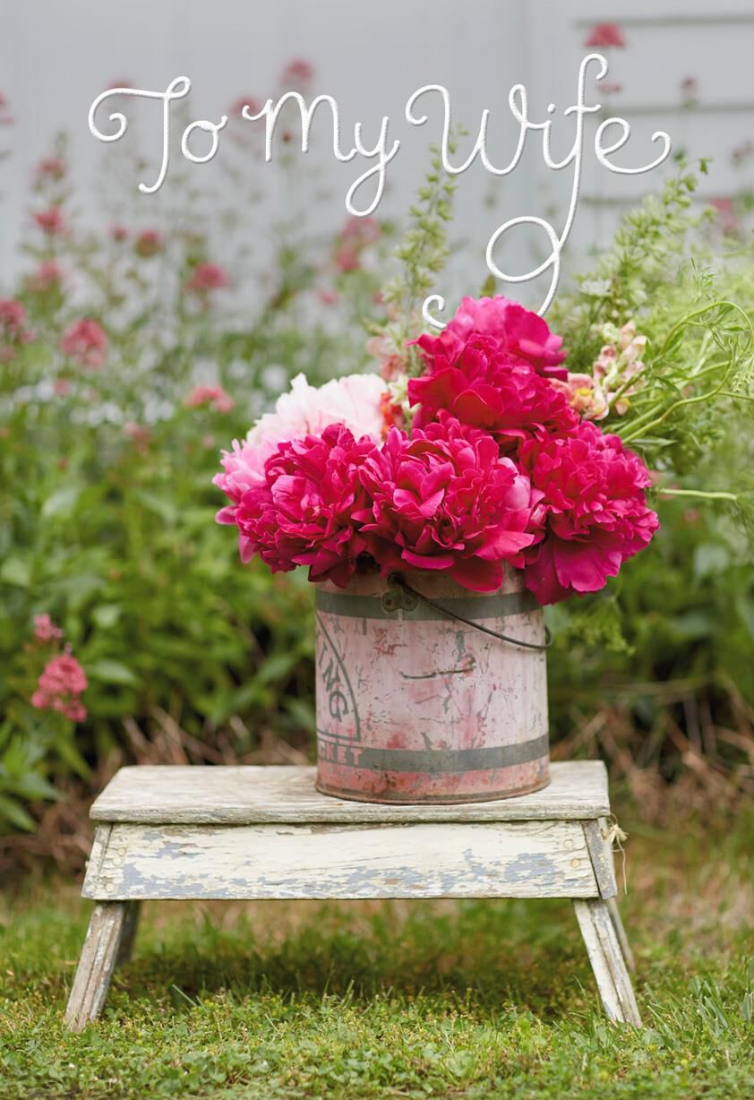 I Love Our Life Together Mother's Day Card for Wife