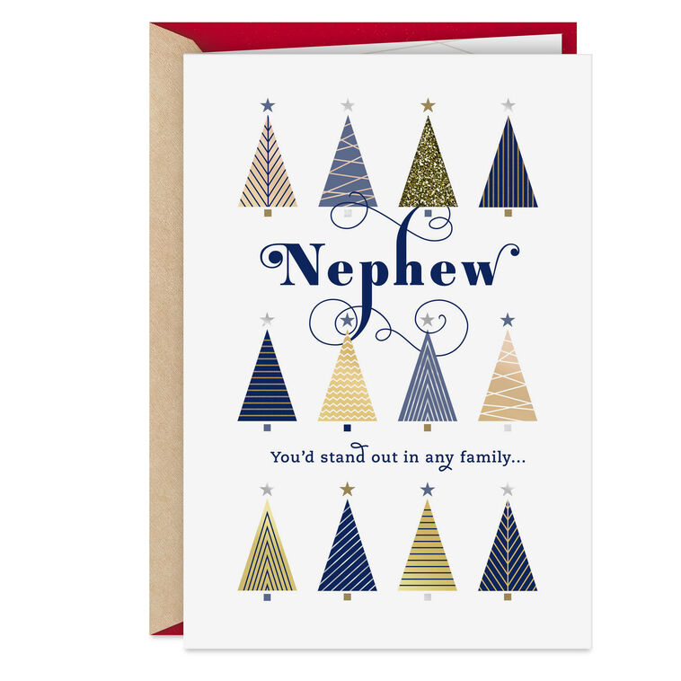 You'd Stand Out in Any Family Christmas Card for Nephew