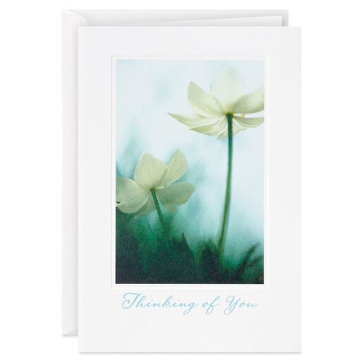 Paperwhite Flower Blossoms Sympathy Card, 