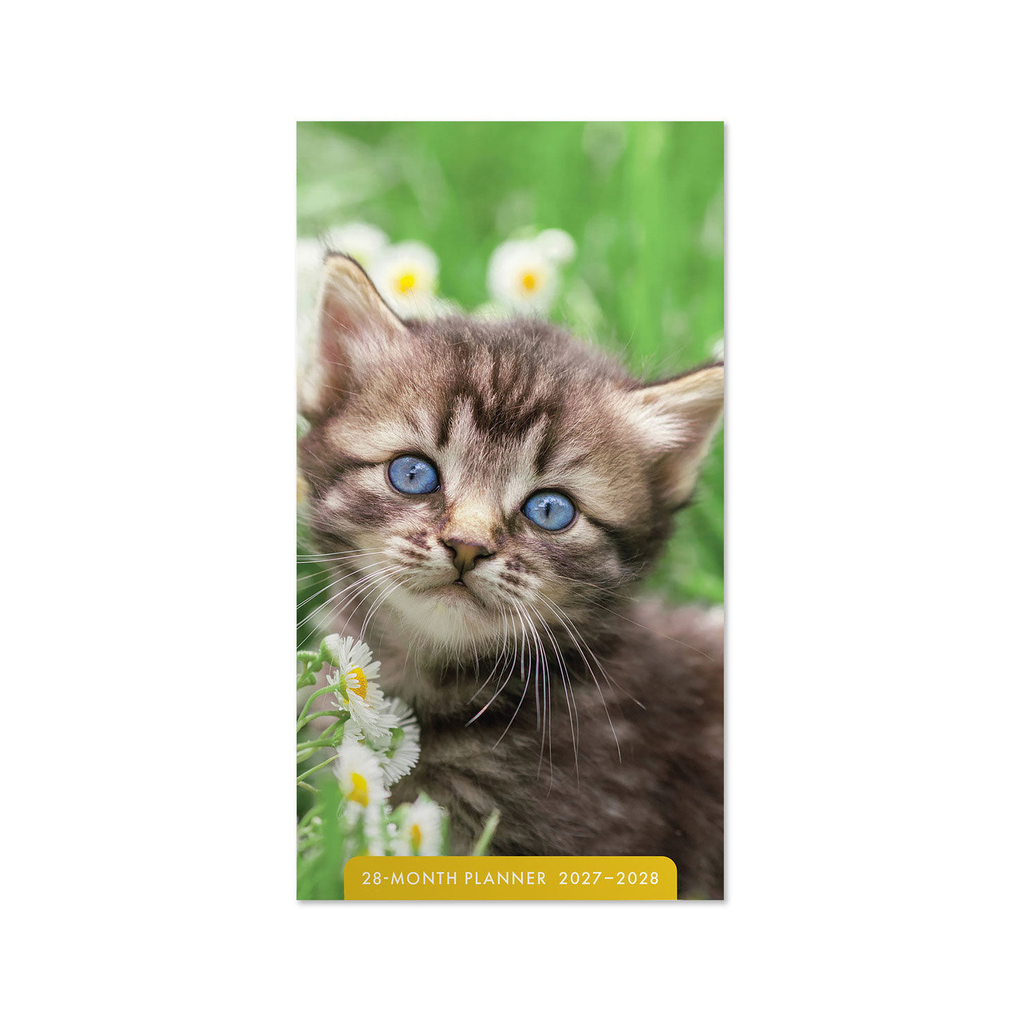 Bright-Eyed Kitten 2027-2028 Inspirational Pocket Planner, 28-Month