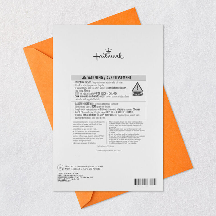 Cat in Witch's Hat Funny Halloween Card With Sound Card Back with Envelope image number 8