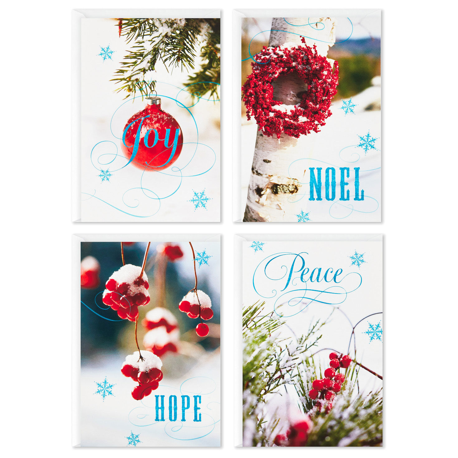 Winter Boughs Boxed Christmas Card Assortment fronts flat image number 2