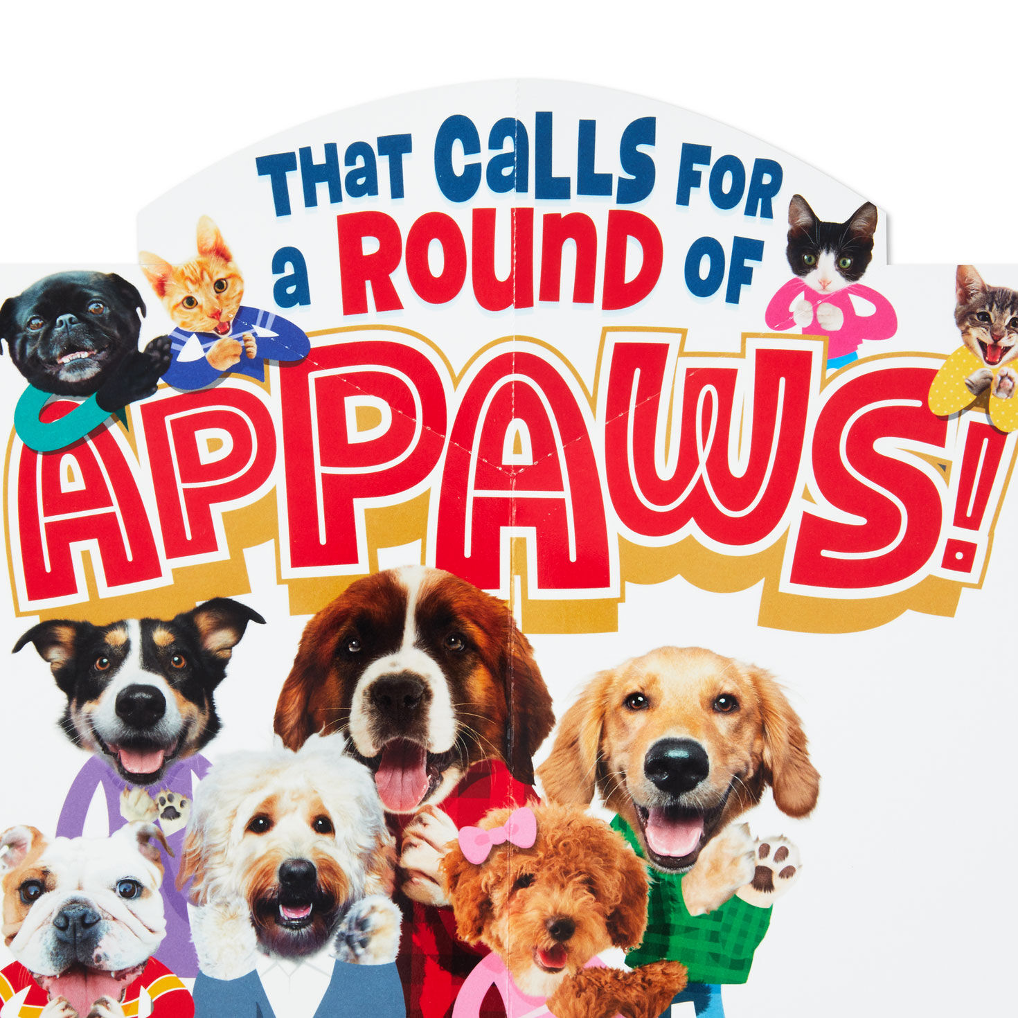 Cats and Dogs Applause Pop-Up Birthday Card Sentiment image number 3