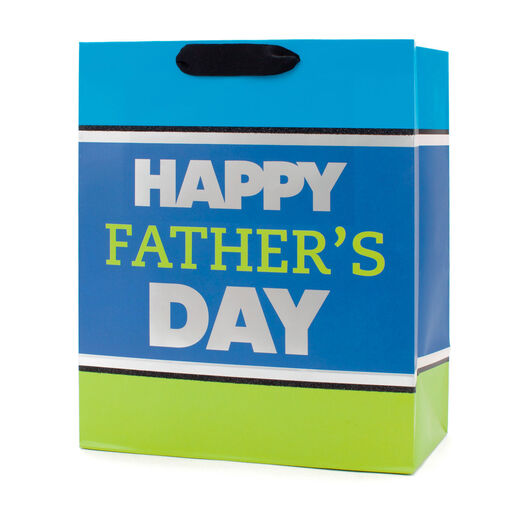 13" Striped Large Father's Day Gift Bag With Tissue, 