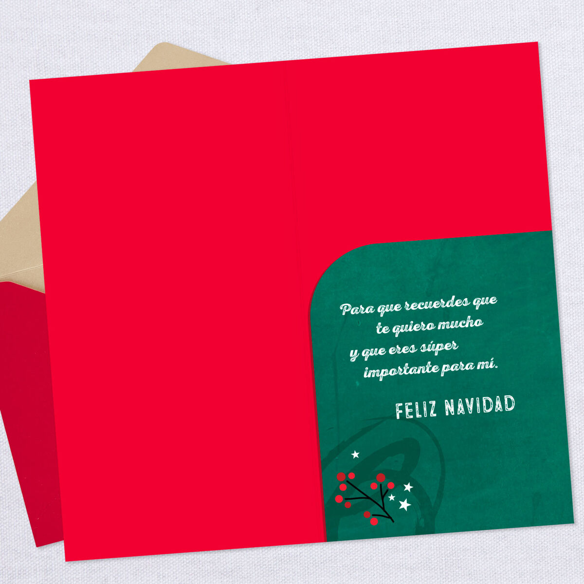 Especially for You Spanish-Language Money Holder Christmas Card ...