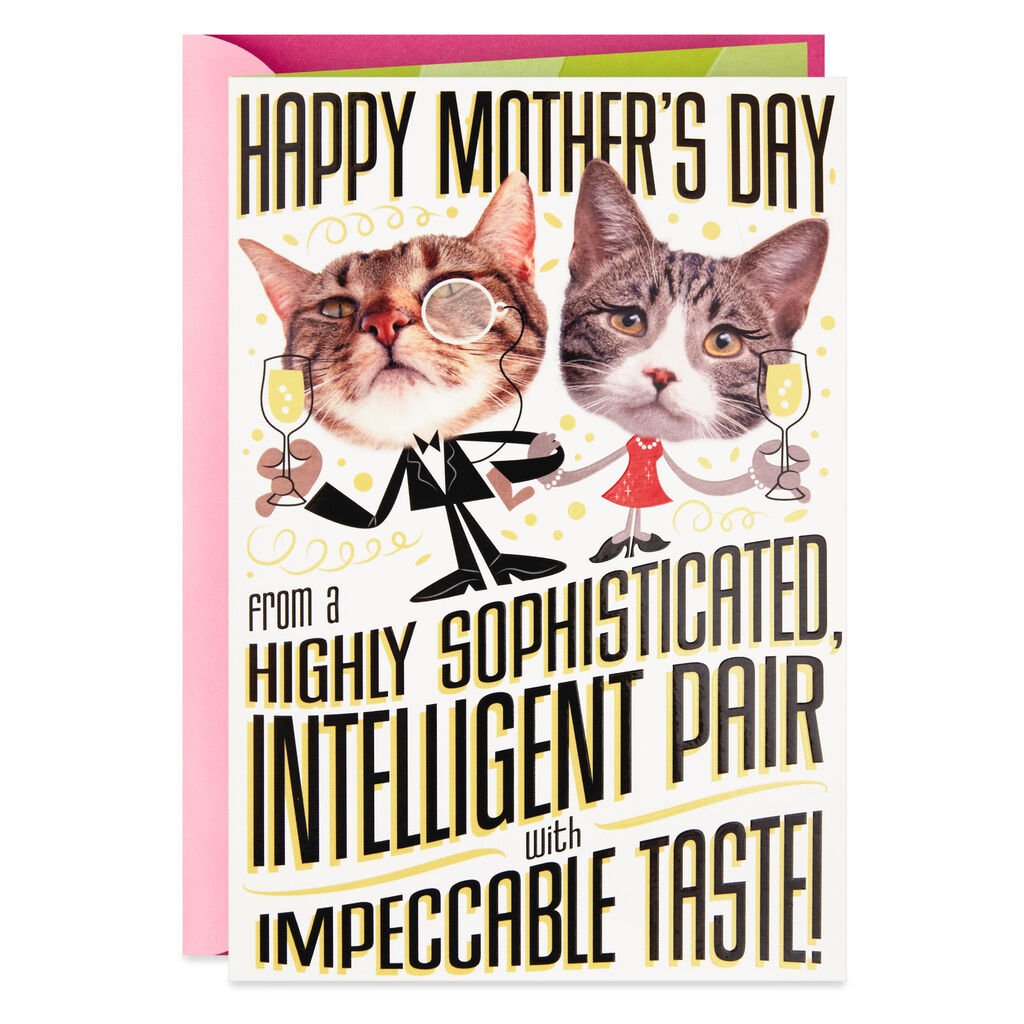 Fancy Cats Funny Pop Up Mother S Day Card From Both Greeting Cards Hallmark