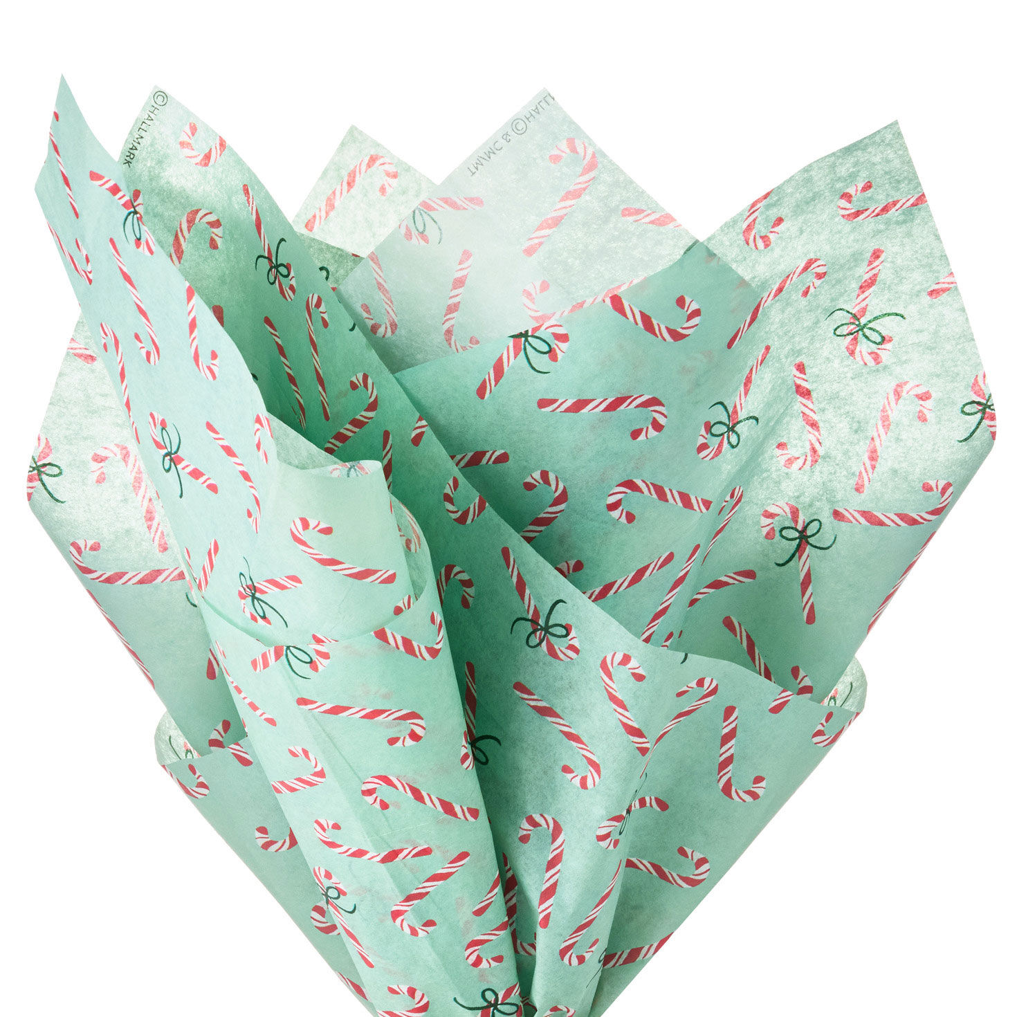 Peppermint-Scented Candy Canes Christmas Tissue Paper fanned image number 2