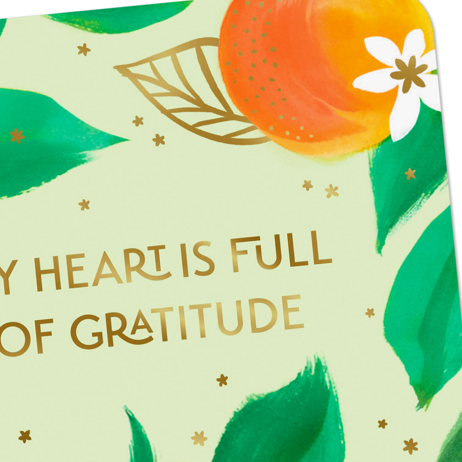 Oranges on Green Thank You Card Card Front Detail image number 4