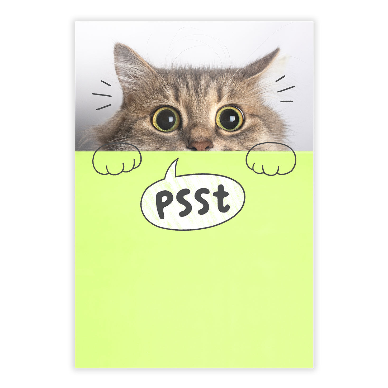 You're Mind Boggling Peeking Cat Personalized Card front image number 2
