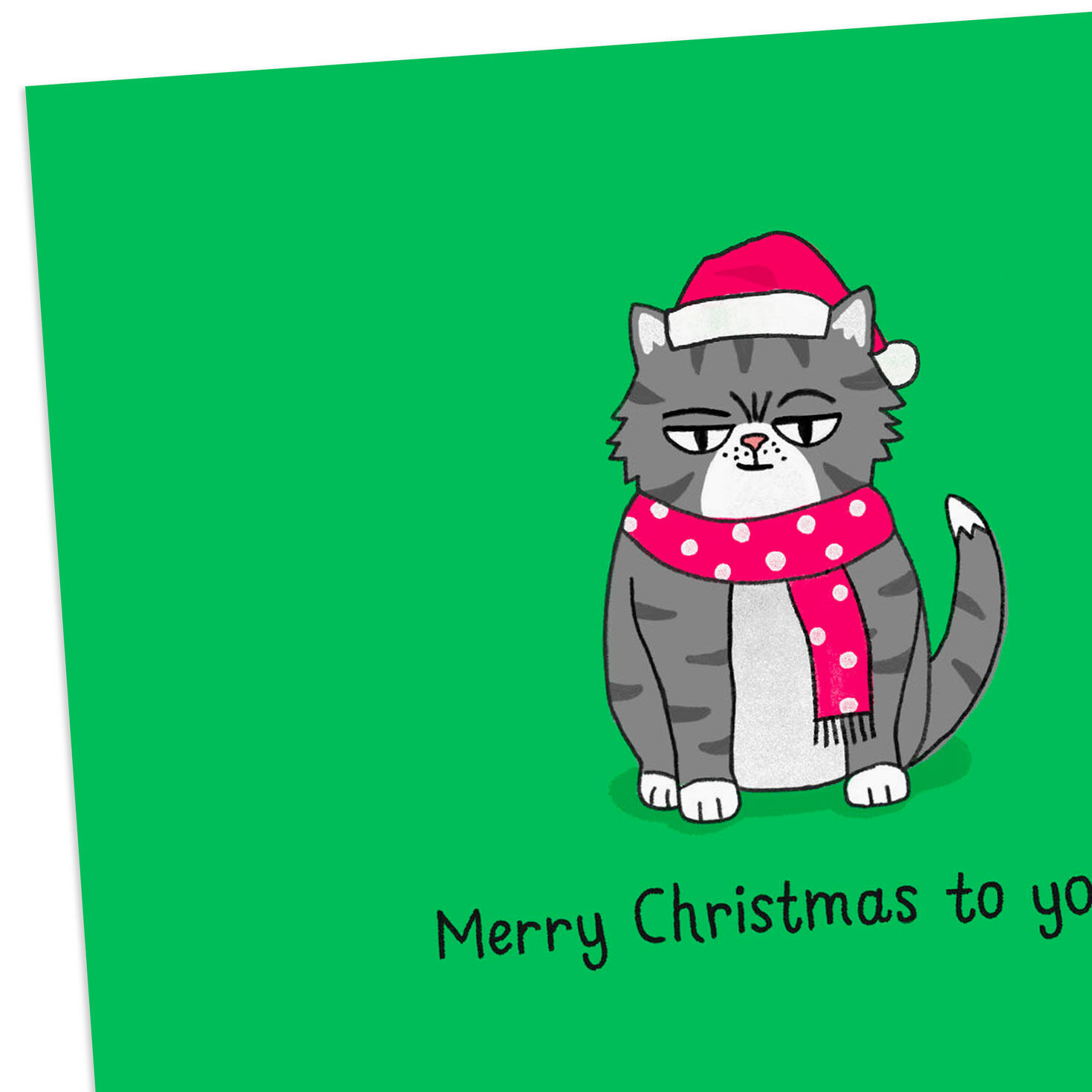 Gray Grumpy Cat Funny Christmas Card Card Front Detail image number 4