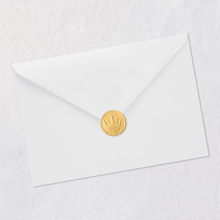 Mean Gray Cat Funny Birthday Card Envelope Back with Seal image number 8