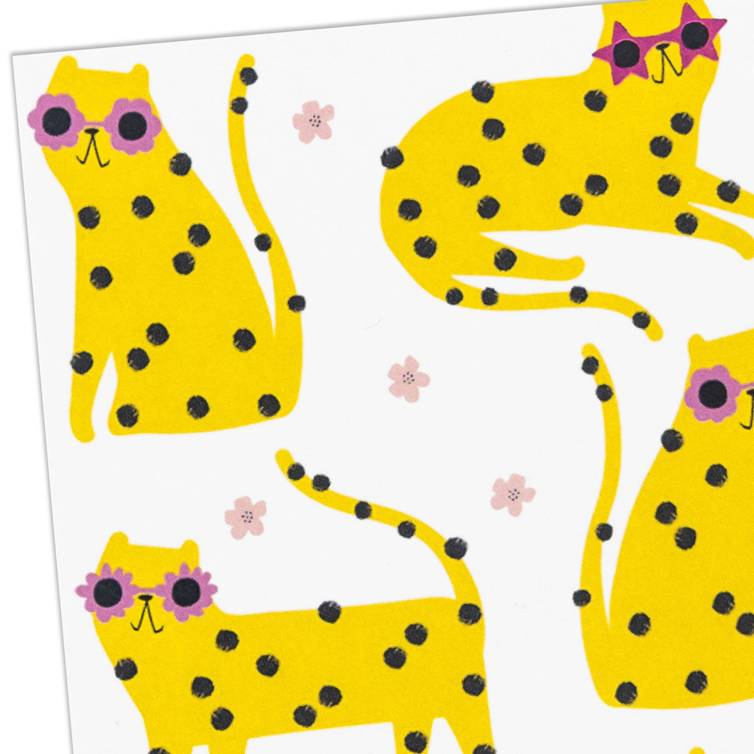 Cats in Sunglasses Blank Note Cards Pack Cover Detail image number 4