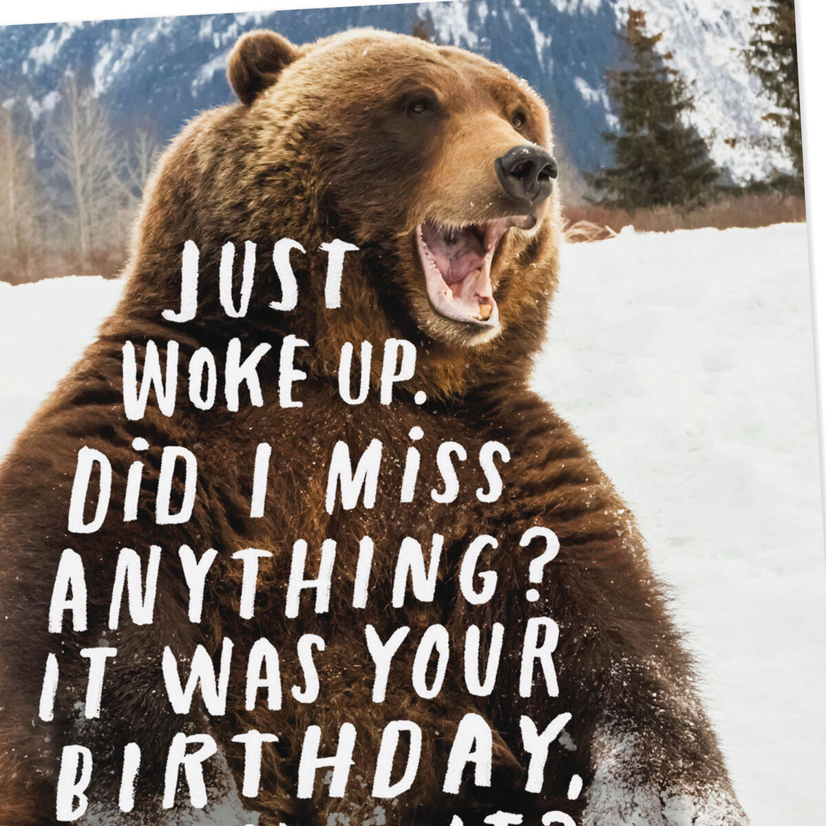 Hibernating Brown Bear Funny Belated Birthday Card - Greeting Cards - Hallmark