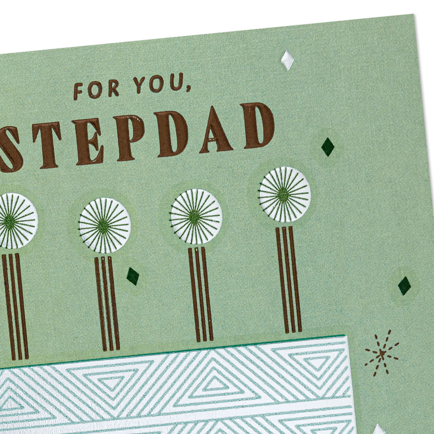 The Good Man You Are Birthday Card for Stepdad, , large image number 5