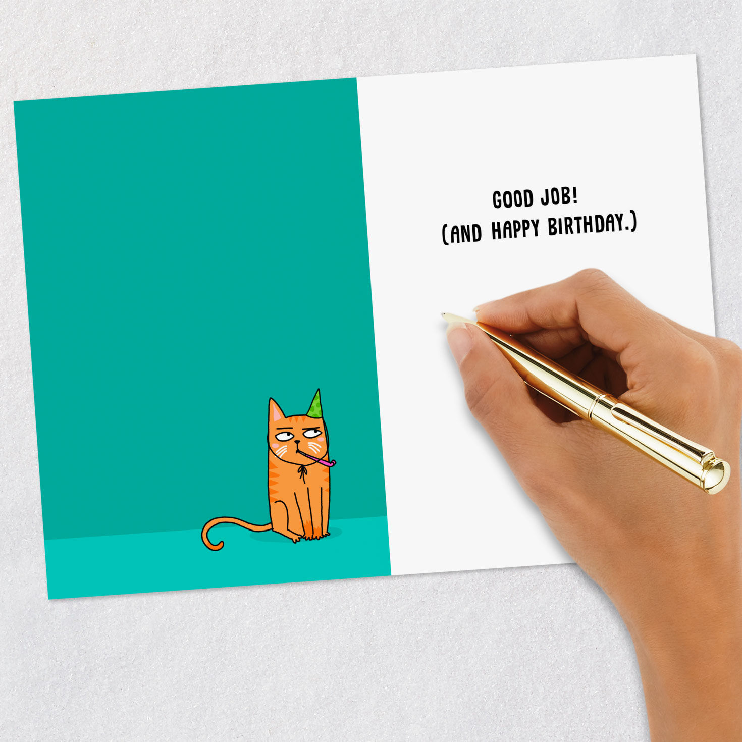 Cat Message Funny Birthday Card signing card image number 6