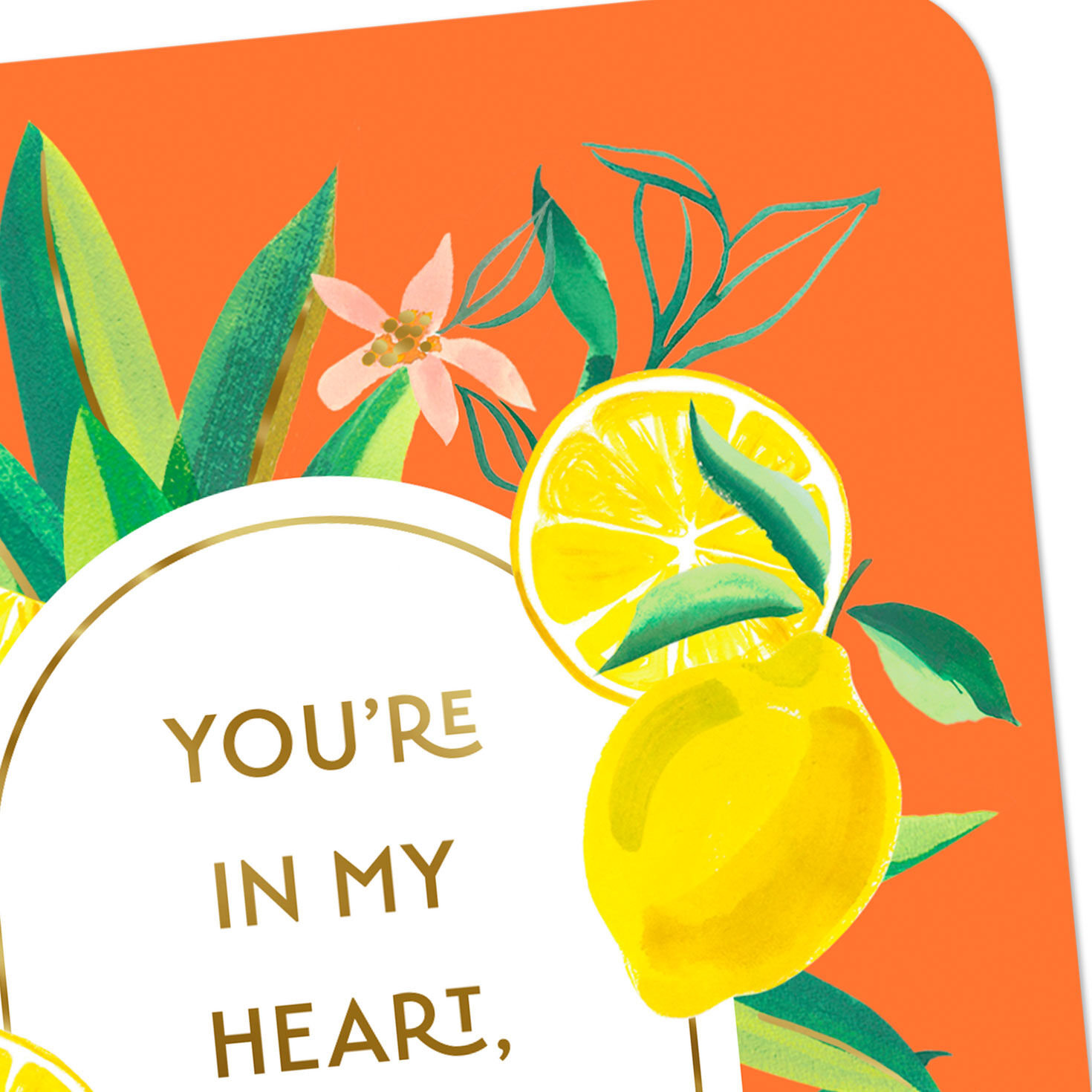 Lemons and Flowers Thinking of You Card Card Front Detail image number 4
