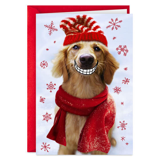 A Smile From Someone Who Loves You Funny Christmas Card, , large image number 1