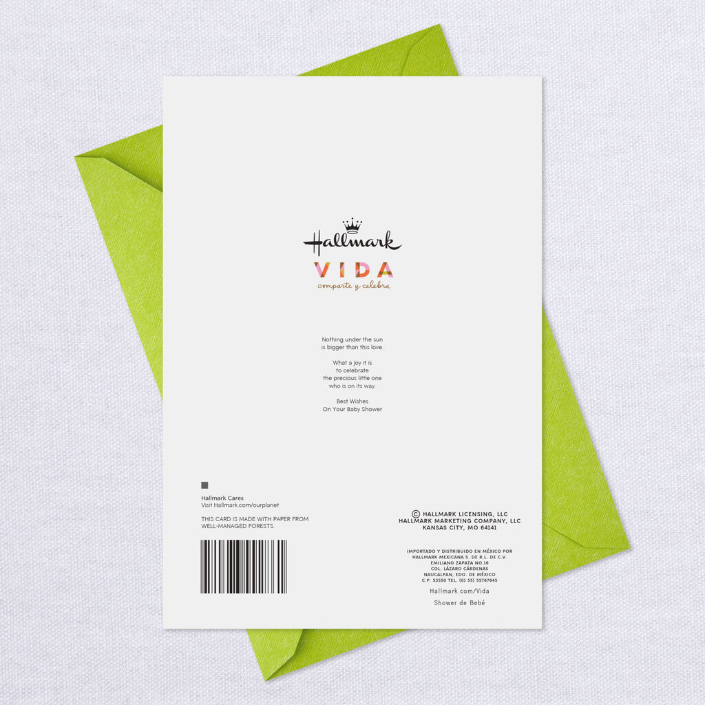 Baby Shower Wishes In Spanish Get More Anythink's