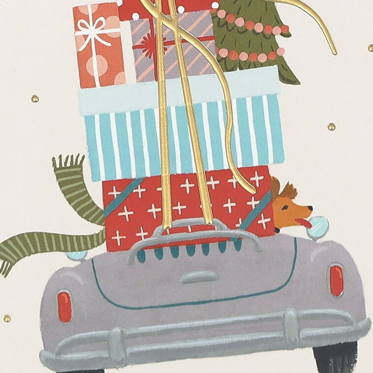 Presents Dog in Car Christmas Money Holder Card Card Front Detail image number 5