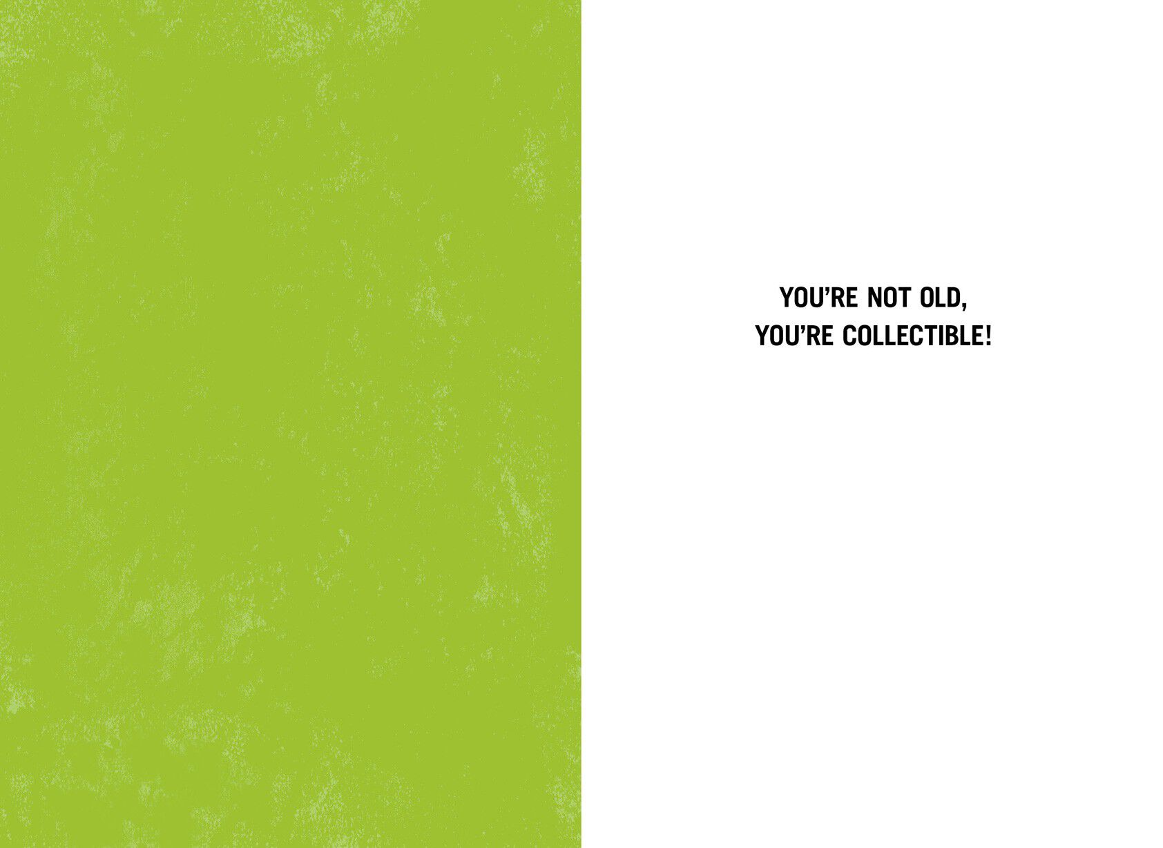 Collectible Not Old Funny Birthday Card