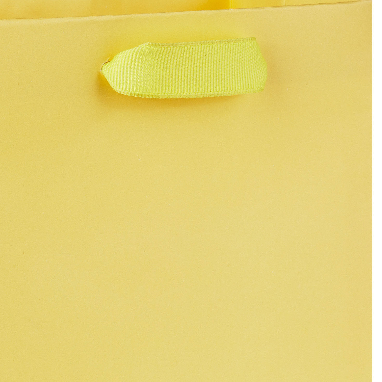 Solid Yellow Small Gift Bag Handle Detail image number 4
