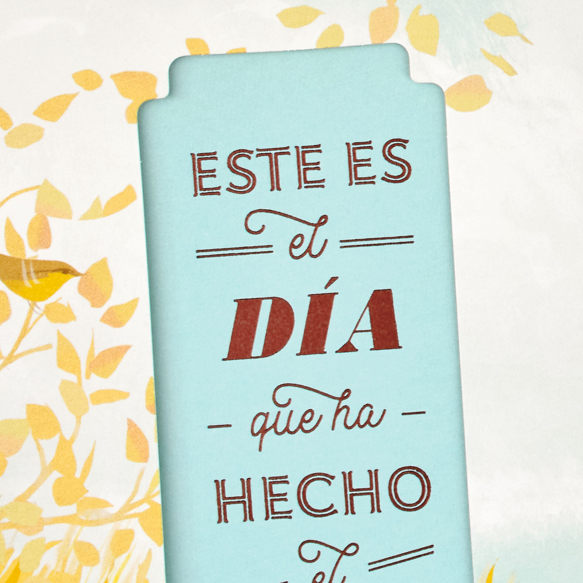 Celebrating With You Spanish-Language Congratulations Card - Greeting ...