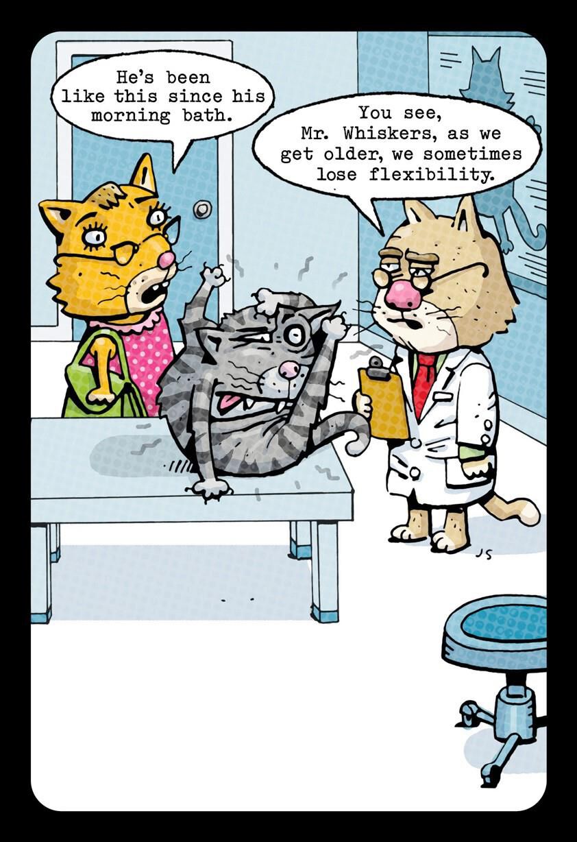 Lost Flexibility Cat Funny Birthday Card