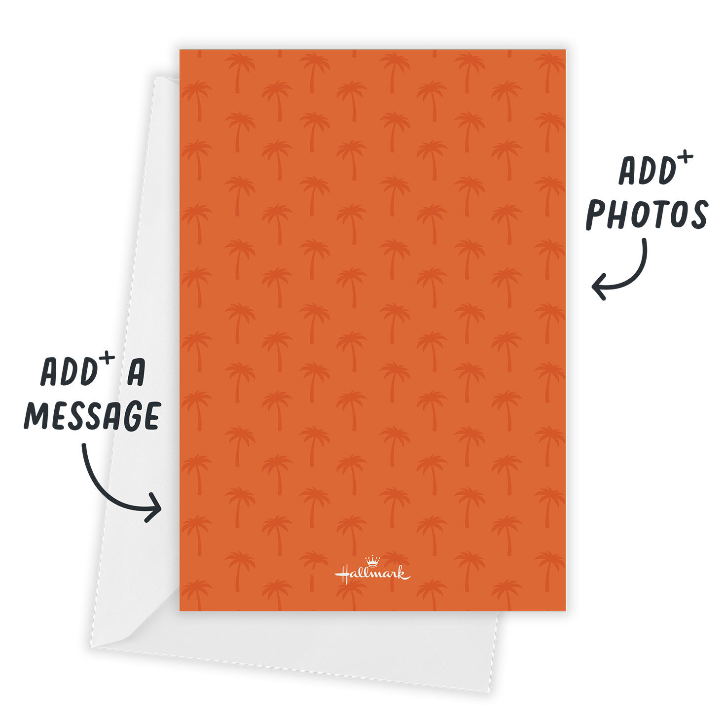 Destination Wedding Palm Tree Save the Date, , large image number 3