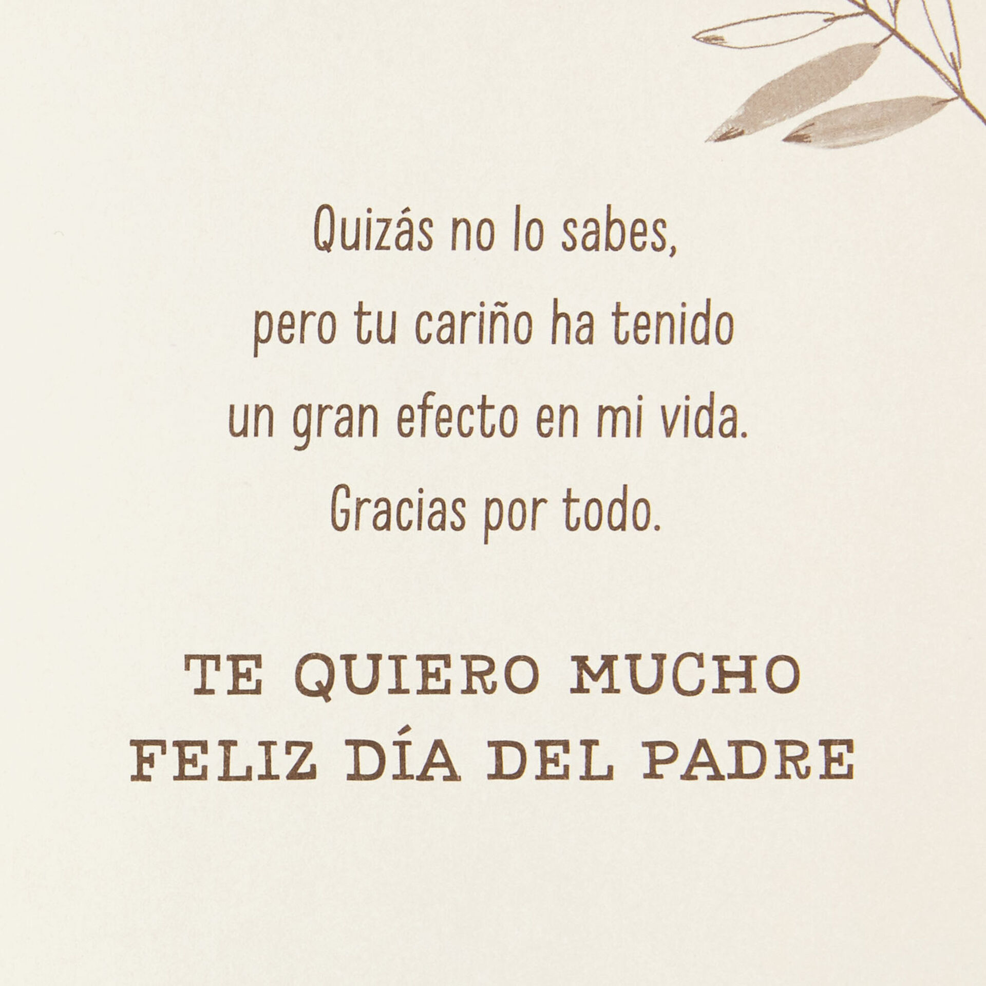 Download Grandfather Thank You For Everything Spanish Language Father S Day Card Greeting Cards Hallmark