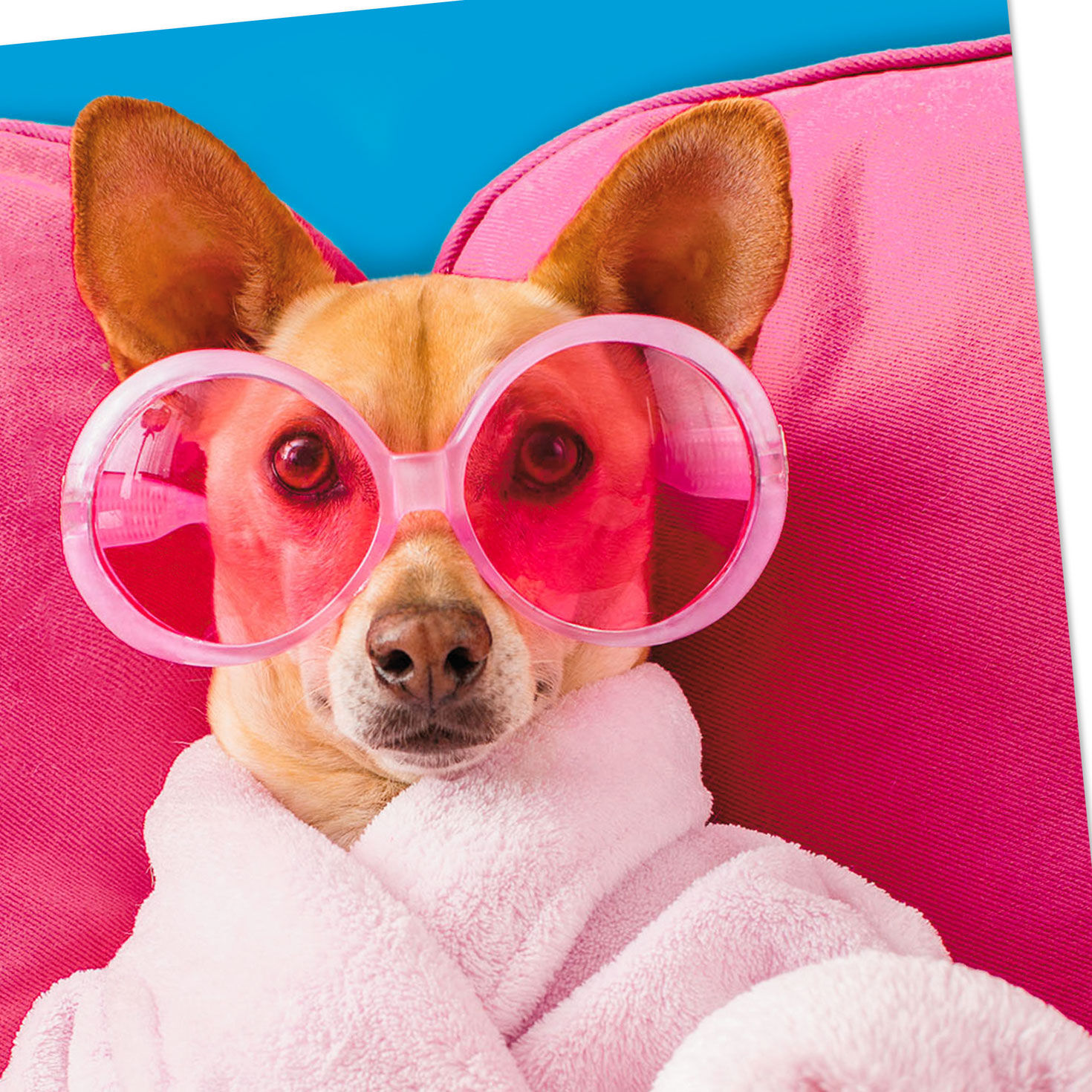 Dog Watching TV on Couch Funny Mother's Day Card Card Front Detail image number 4