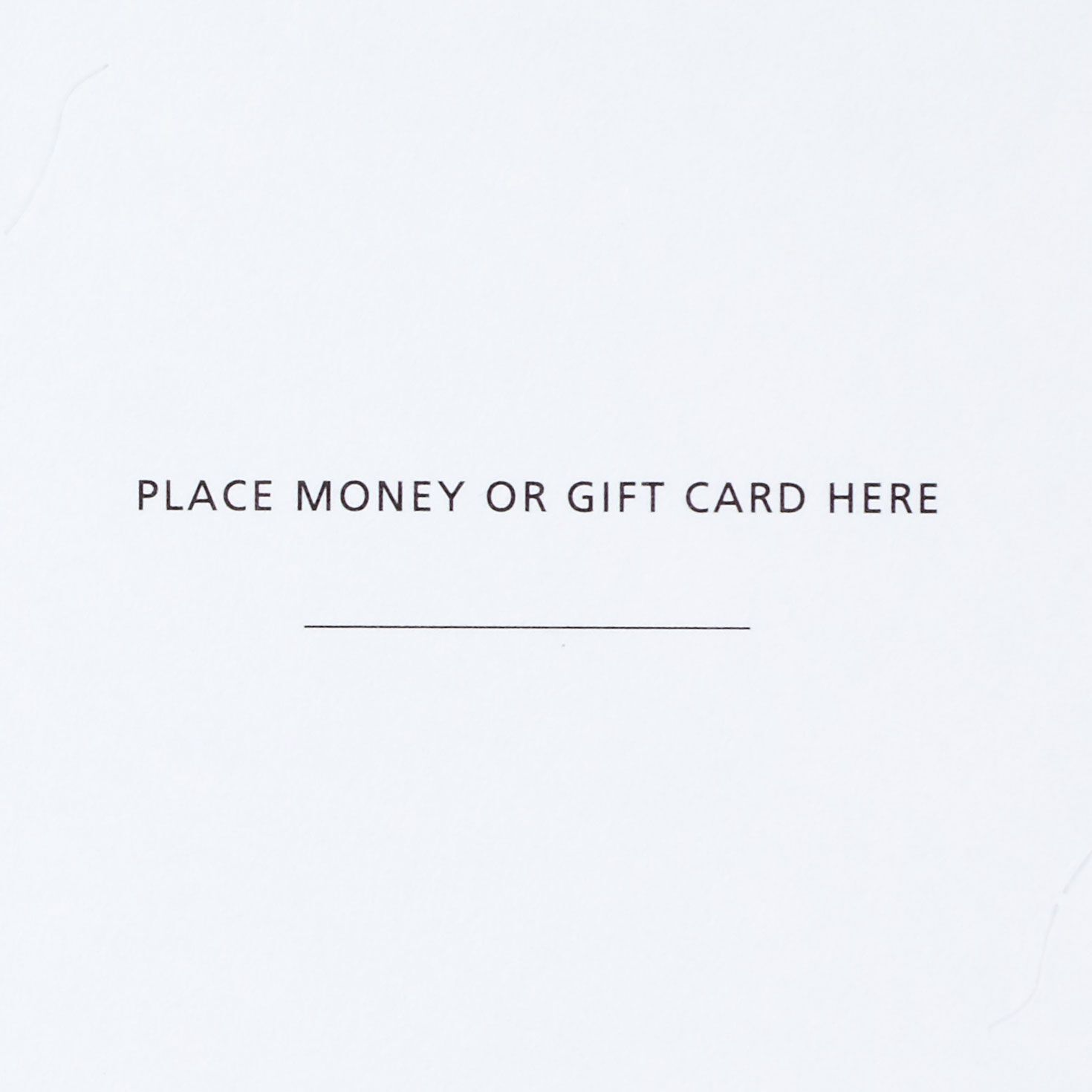 Joy to the World Money-Holder Christmas Cards Pack sentiment image number 4