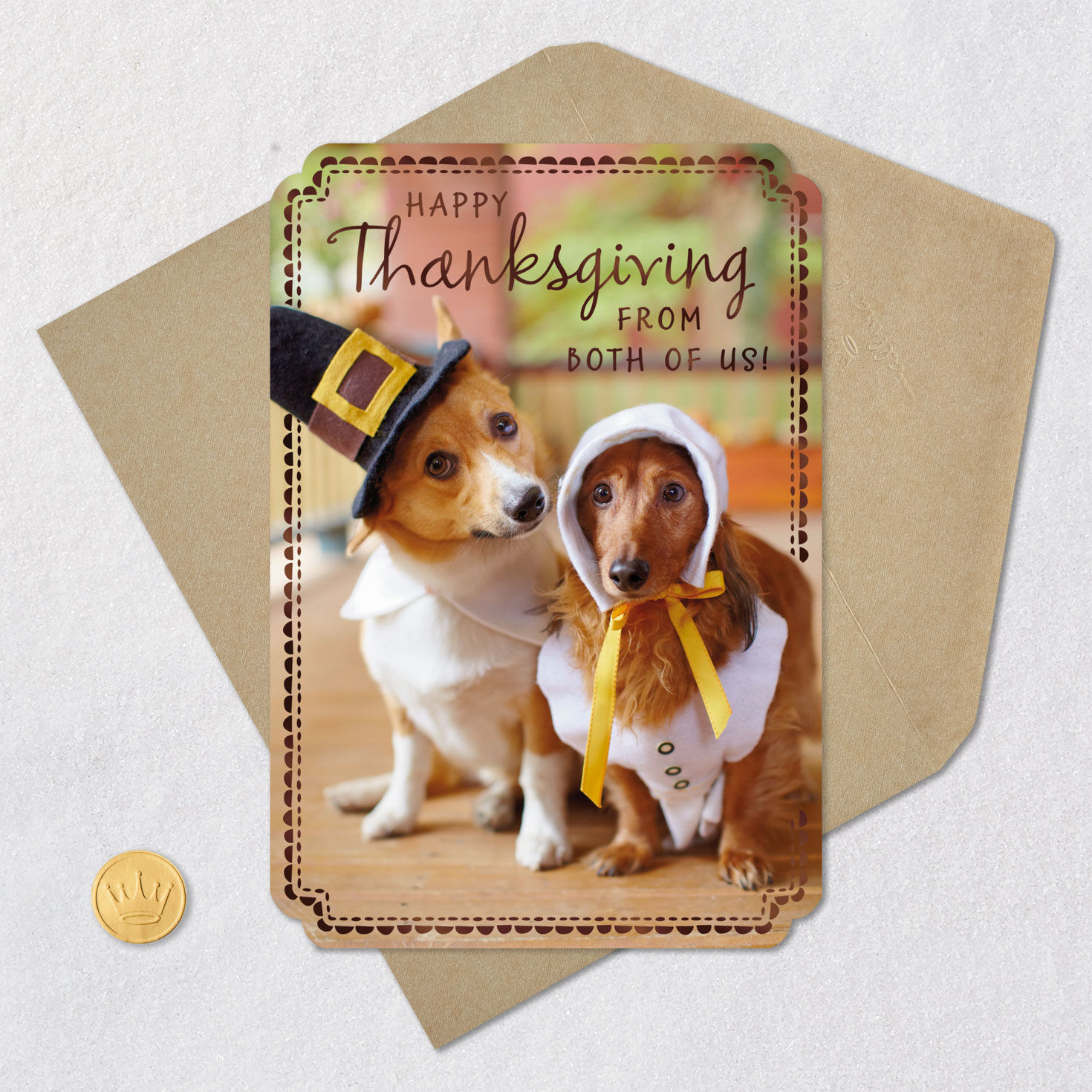 Pilgrim Costume Dogs Thanksgiving Card from Both Card Front with Envelope and Gold Seal image number 5