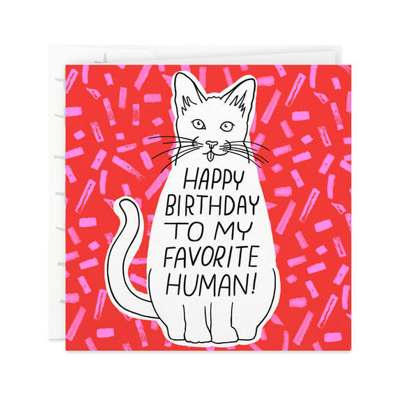 You're My Favorite Birthday Card From the Cat, , large image number 1