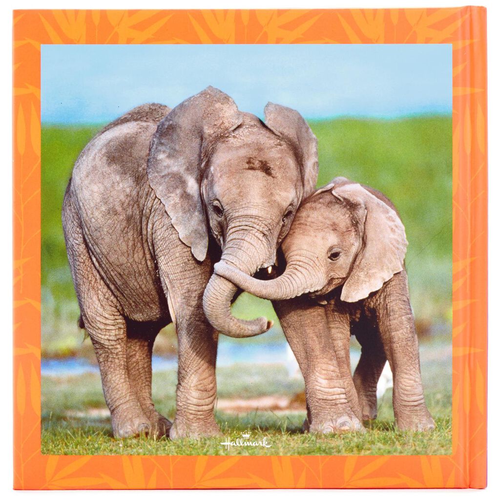 Baby Animals Book