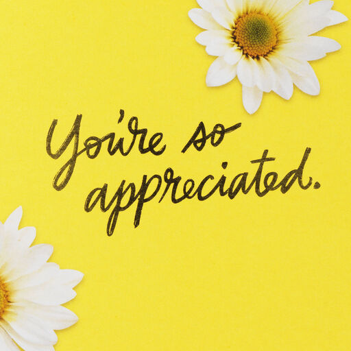 You're So Appreciated Thank-You Card, 