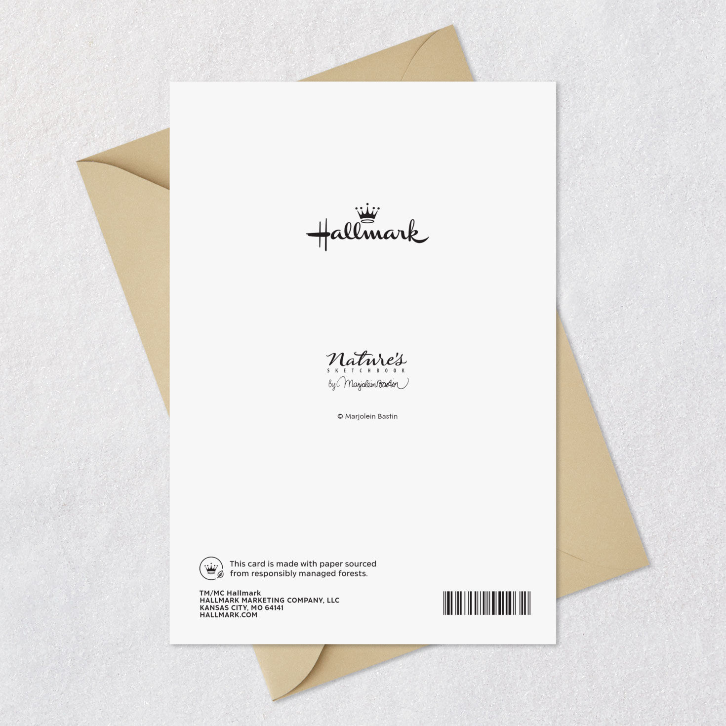 Marjolein Bastin Feelings of Gratefulness Thanksgiving Card for only USD 3.59 | Hallmark