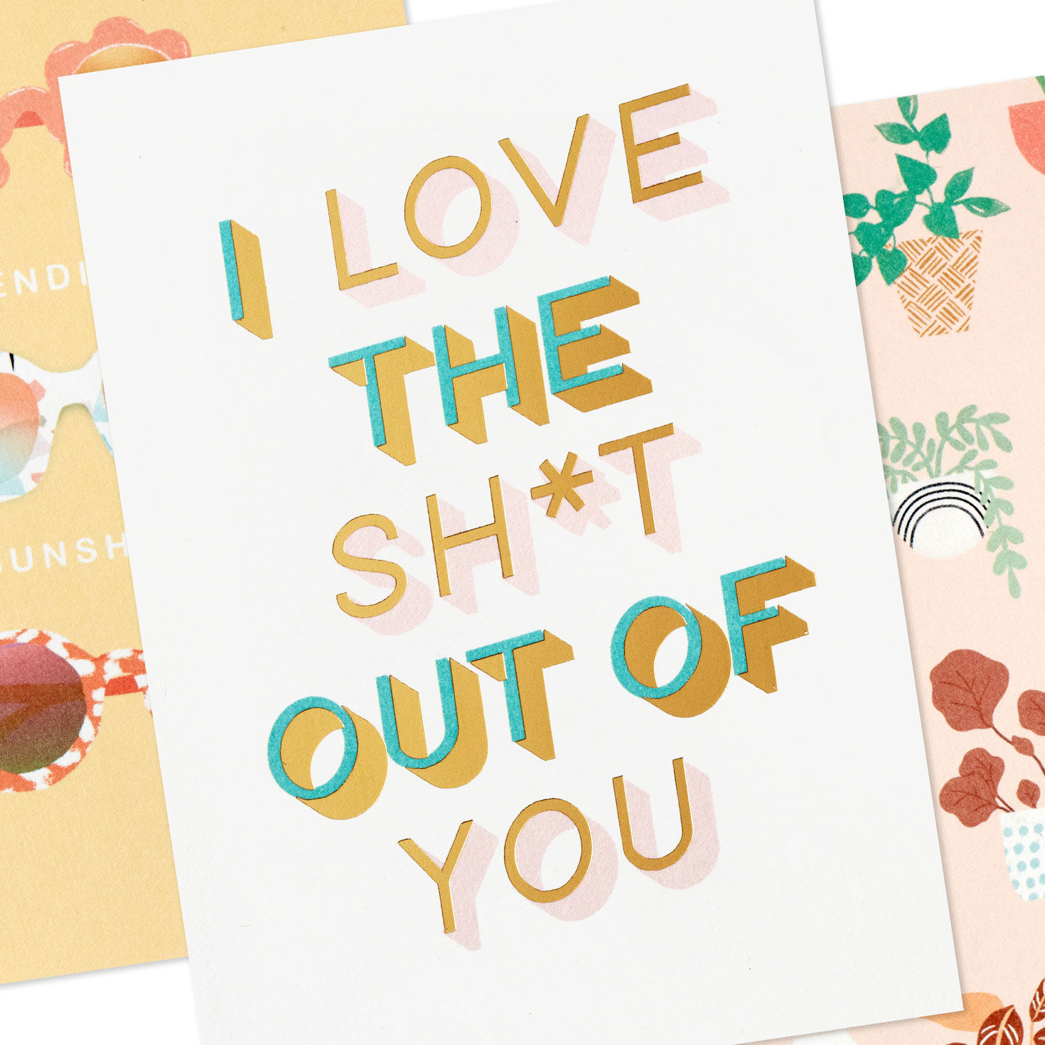 Potted Plant Booklet of All-Occasion Cards closeup view image number 4