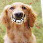 Smiling Dog Love You Funny Valentine's Day Card, , large image number 4