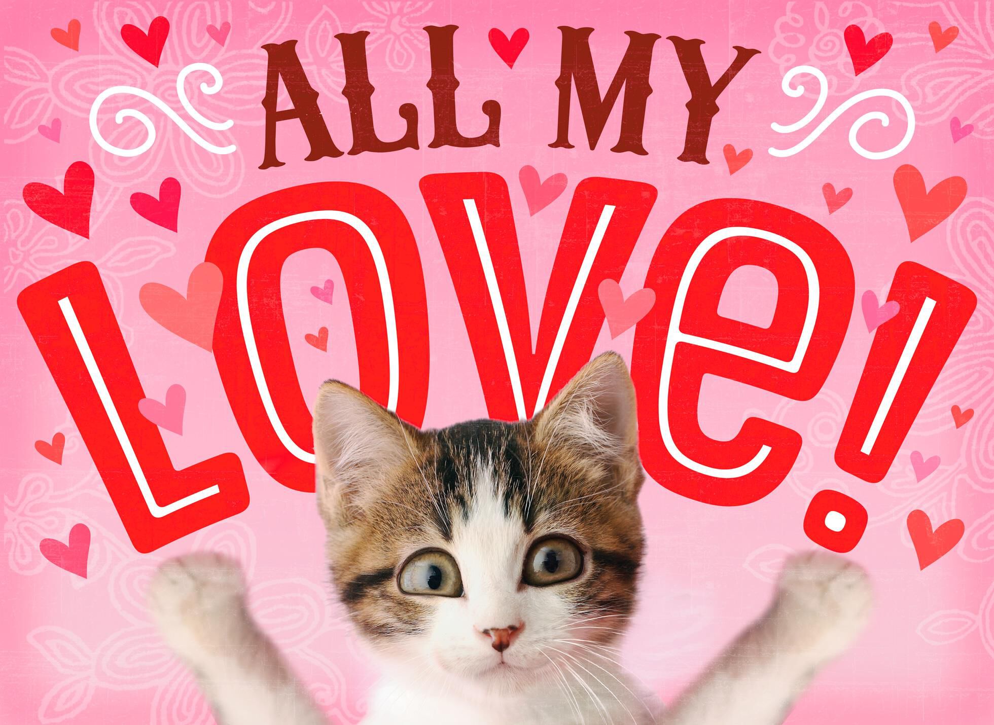 Unfolding Smiling Kitten Valentine's Day Card for Mom