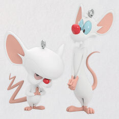 Animaniacs™ Pinky and The Brain Ornaments, Set of 2