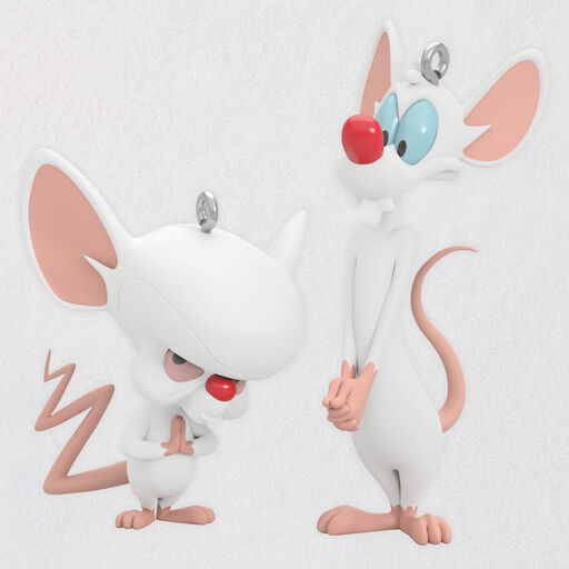 Animaniacs™ Pinky and The Brain Ornaments, Set of 2, 