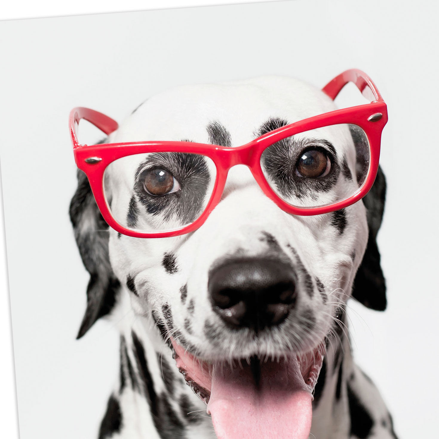 Spotted This Card Funny Thinking of You Card, , large image number 4