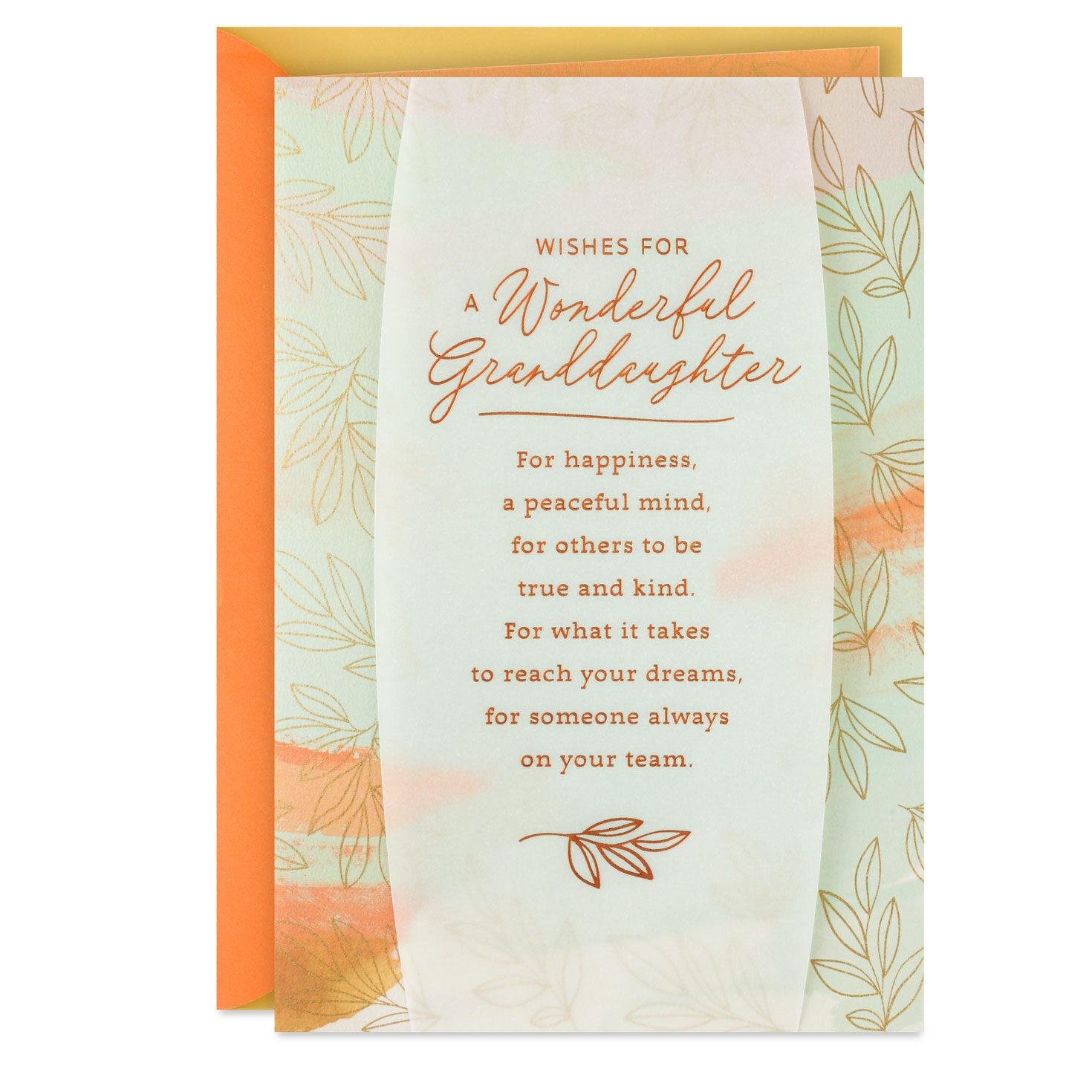 Wishes for a Wonderful Granddaughter Birthday Card