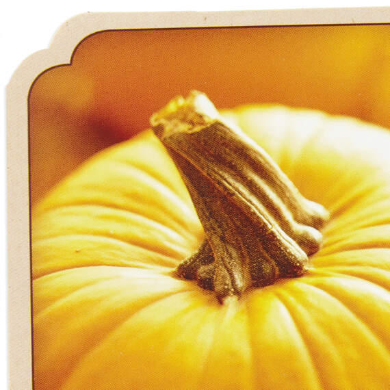 Pumpkin Fall Scenes Assorted Halloween Cards, Pack of 6, , large image number 5