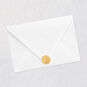 Wonder Woman Costume Birthday Card Envelope Back with Seal image number 8