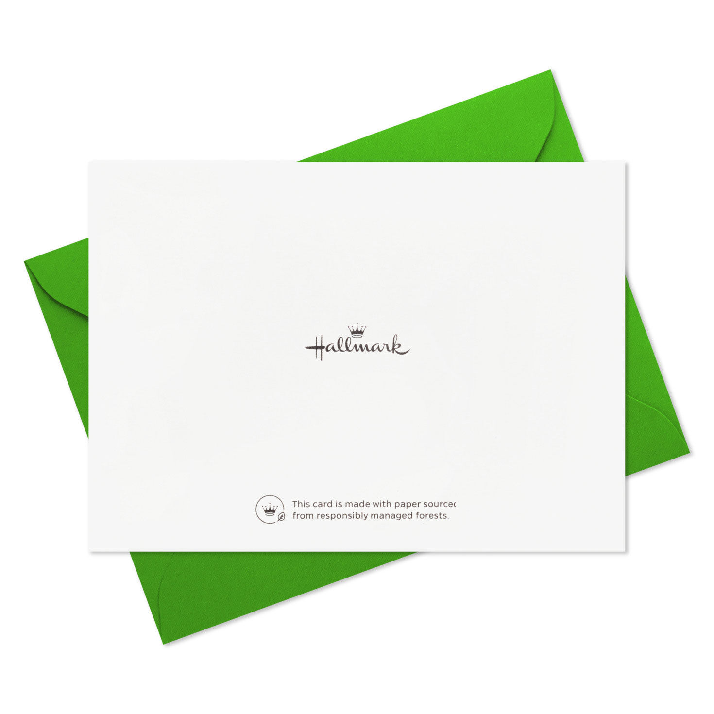 Flowers and Home Painting Blank Note Cards Pack card back with envelope image number 5