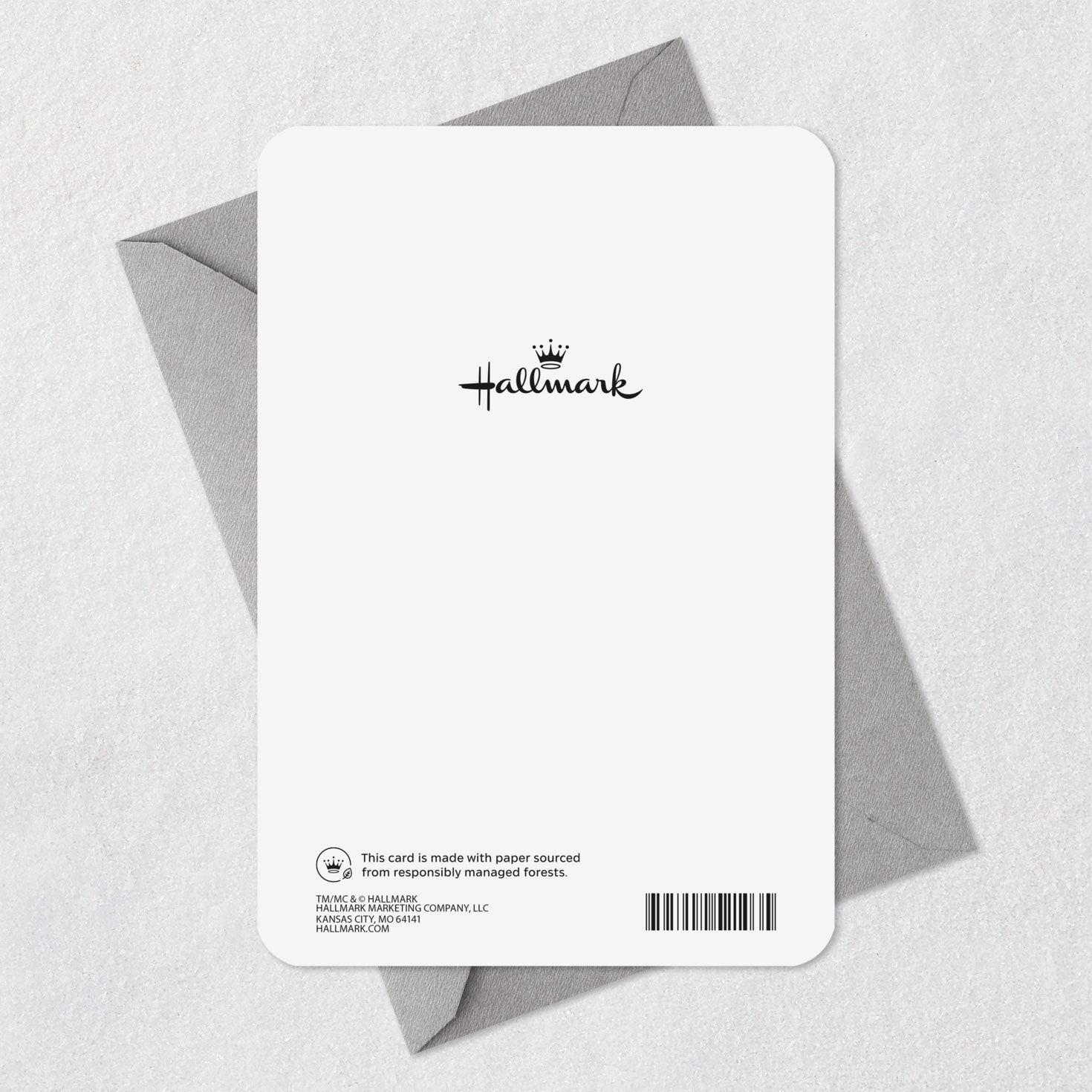 Abstract Circles Boss's Day Card Card Back with Envelope image number 7