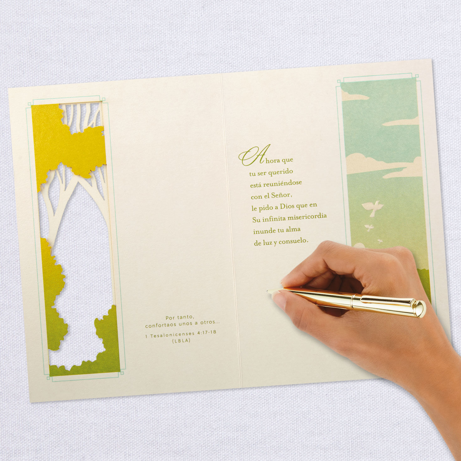 Light and Comfort Spanish-Language Religious Sympathy Card, , large image number 7
